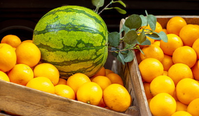 A box of oranges and a watermelon at a market in Stockholm