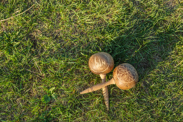 Cuban maracas. Traditional musical instrument made of natural materials lie on the green grass