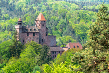 Fototapeta na wymiar Burg Berwartstein im Frühling