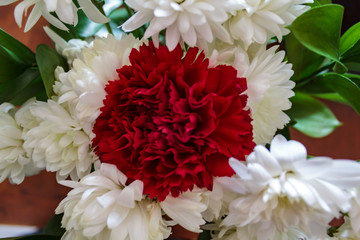 Red carnation among white flowers
