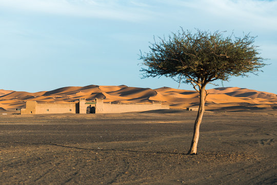 Ancient arch to the desert