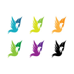 Fototapeta na wymiar creative logo bird vector collection
