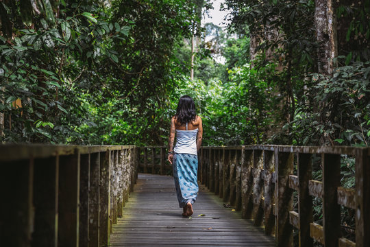 beautiful woman with blue skirt walking along a wooden path through the rainforest