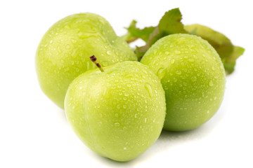 fresh and green plum on white background