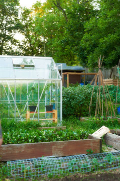 Garden with greenhouse and vegetable plots in late evening summer light.