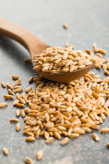 Healthy spelt grains.