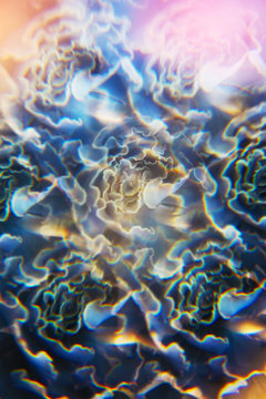 Succulent photographed through prism filter