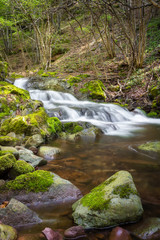 Cascades of a mountain creek falling down the wet, green moss covered rocks in the forest during early spring and lighten by the sun