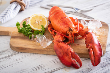 whole boiled lobster image
