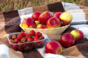 apples and strawberries on a check plaid. picnic