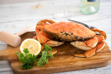 boiled dungeness crab image