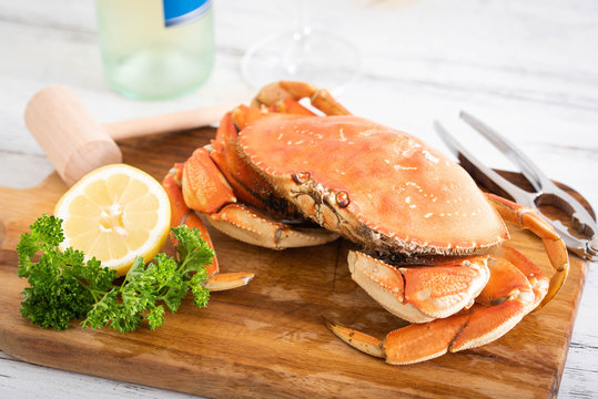 boiled dungeness crab image