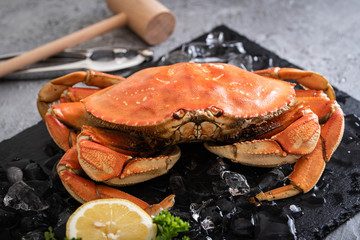 boiled dungeness crab image © ahirao