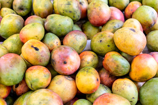 Fresh, healthy, organic, and local mango produce and fruit sold in an open air market in Tel Aviv, Israel.