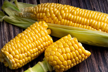 fresh and ripe corn cobs