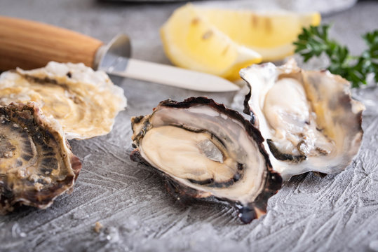 raw oyster with knife image