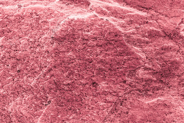 Vintage pink background. Rough painted wall of fiesta color. Imperfect plane of rosy colored. Uneven old decorative toned backdrop of rouge tint. Texture of pink hue. Ornamental stony surface.