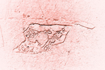 Vintage pink background. Rough painted wall of living coral color. Imperfect plane of beige colored. Uneven old decorative toned backdrop of beige tint. Texture of pink hue. Ornamental stony surface.