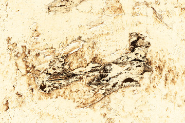 Vintage yellow background. Rough painted wall of aspen gold color. Imperfect plane of golden colored. Uneven old decorative toned backdrop of yellow tint. Texture of gold hue. Ornamental stony surface