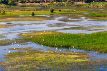 View of Nile river in Luxor, Egypt