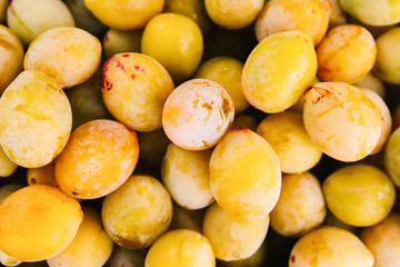 Fototapeta na wymiar Fresh yellow plums. Ripe fruits in a wooden box in summer garden