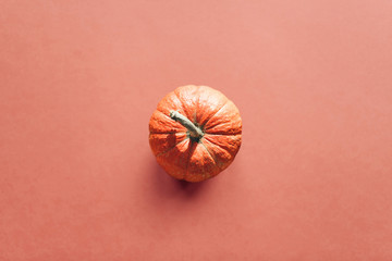 Pumpkin on a pink background in a trendy minimal style. Autumn time or harvest or Halloween.