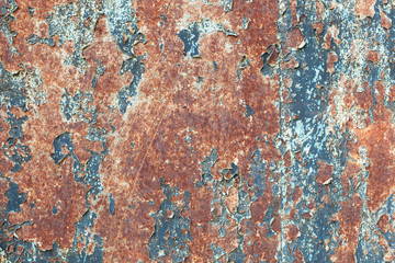 Grunge wall texture, iron rusty gates painted with white-blue-gray paint. Cracked paint on metal, seamless background, blank for text. horizontal frame