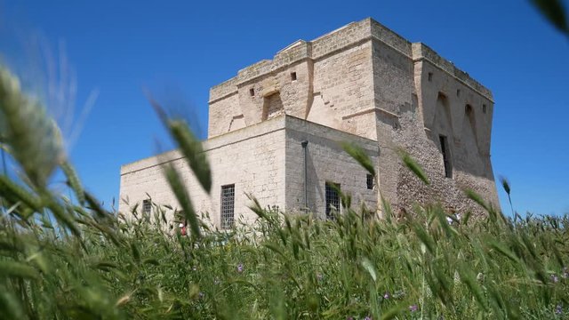 Torre Guaceto surrounded by greenery. Protected Marine Area of Torre Guaceto. Coastal and marine nature reserve with a defensive tower of the 16th century. Brindisi, Puglia (Apulia), Italy