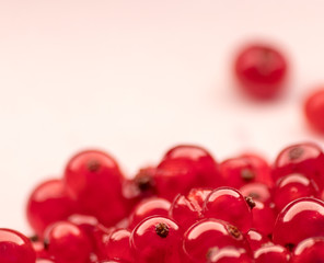 rote Johannisbeeren