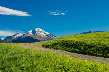 Fototapeta premium hill