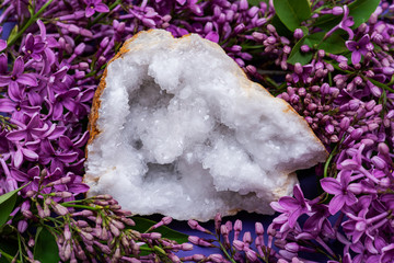 Clear Crystal Quartz Geode with crystalline druzy center surrounded by purple lilac flowers.