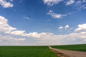 Fototapeta na wymiar Sceniec view of country road in summer field and clouds on blue sky.