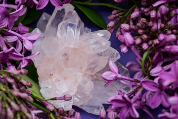 Himalayan Clear Quartz Clusters with Hematite inclusions surrounded by purple lilac flowers.