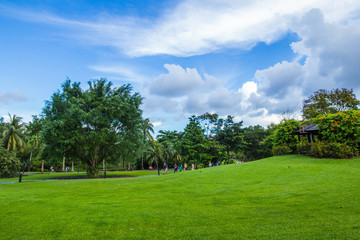 Fototapeta na wymiar Jardín botánico Singapur