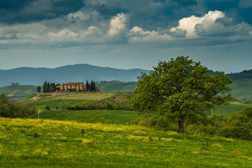 Tuscany spring, rolling hills and windmill on sunset. Rural landscape. Green fields. Italy, Europe