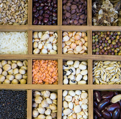 Range of dry peas and pulses in a display box