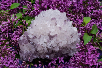Needle Quartz With Amethyst Specimen surrounded by purple lilac flowers.