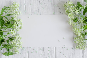 Beautiful yellow green flowers on a gray wooden background with space for a congratulatory inscription. Frame for greeting banner, postcard. Flat lay, top view.