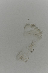 footprints in the sand