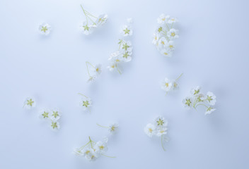 Background of wildflowers. Background for a banner with natural colors.