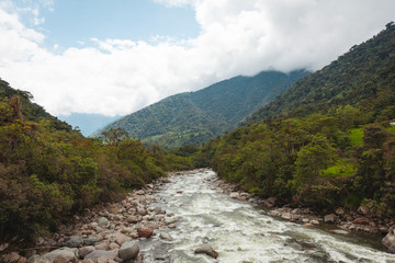 River in the rainforest