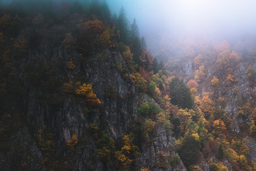 Foggy and moody autumn of fall scenery in the Vosges mountains, France. Colorful trees and rocky cliff landscape.