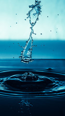 Some Drops 005