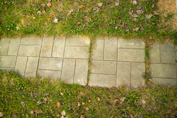 green weed on concrete pathwalk