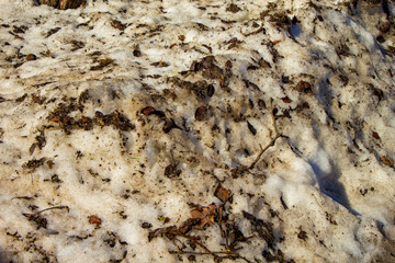dirt spring snow in garden