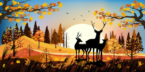 Beautiful panorama landscapes of Countryside in autumn, Panoramic of mid autumn with sunset, Silhouette of deers in the forest during autumn season