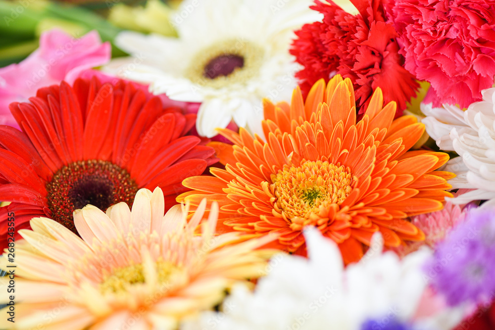 Wall mural close up fresh spring flowers bunch plant gerbera chrysanthemum colorful flower background