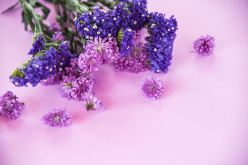 Fresh spring purple flower Marguerite and statice flowers frame composition plant on purple soft pink