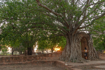 amazing root of banyan tree hold the old ancient door for long time in Ayutthaya period. the door of time is.a famous landmark in Ayutthaya