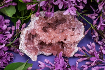 Rare Pink Amethyst Geode Cluster from Patagonia, Argentina. Surrounded by purple lilac flowers.